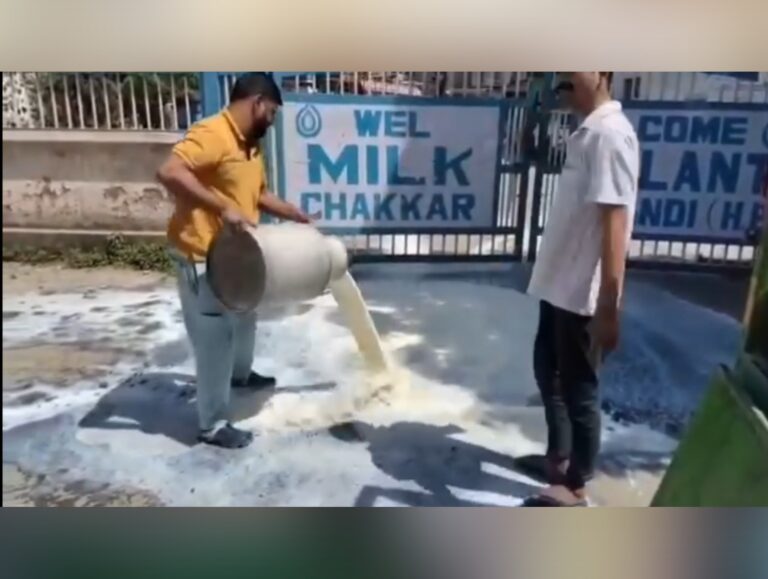 Milkfed row escalates as farmers dump milk, BJP MLA Sudhir Sharma targets Himachal government