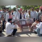 Rajindra Hospital Nurses Hold Buffalo Protest Over 4600 Grade Pay