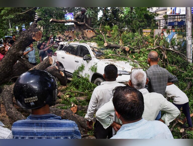 Storm fury in Uttar Pradesh kills 89, damages homes and crops