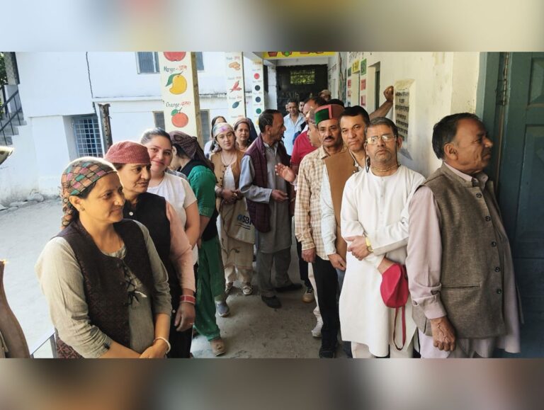 80% voter turnout recorded in second phase of Himachal panchayat polls, Kullu leads with 86%