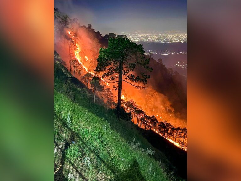 Indian Army puts out forest fire in Kasauli