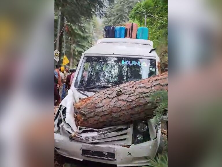 Tourists escape unhurt after tree falls on vehicle on Manikaran-Kasol Road