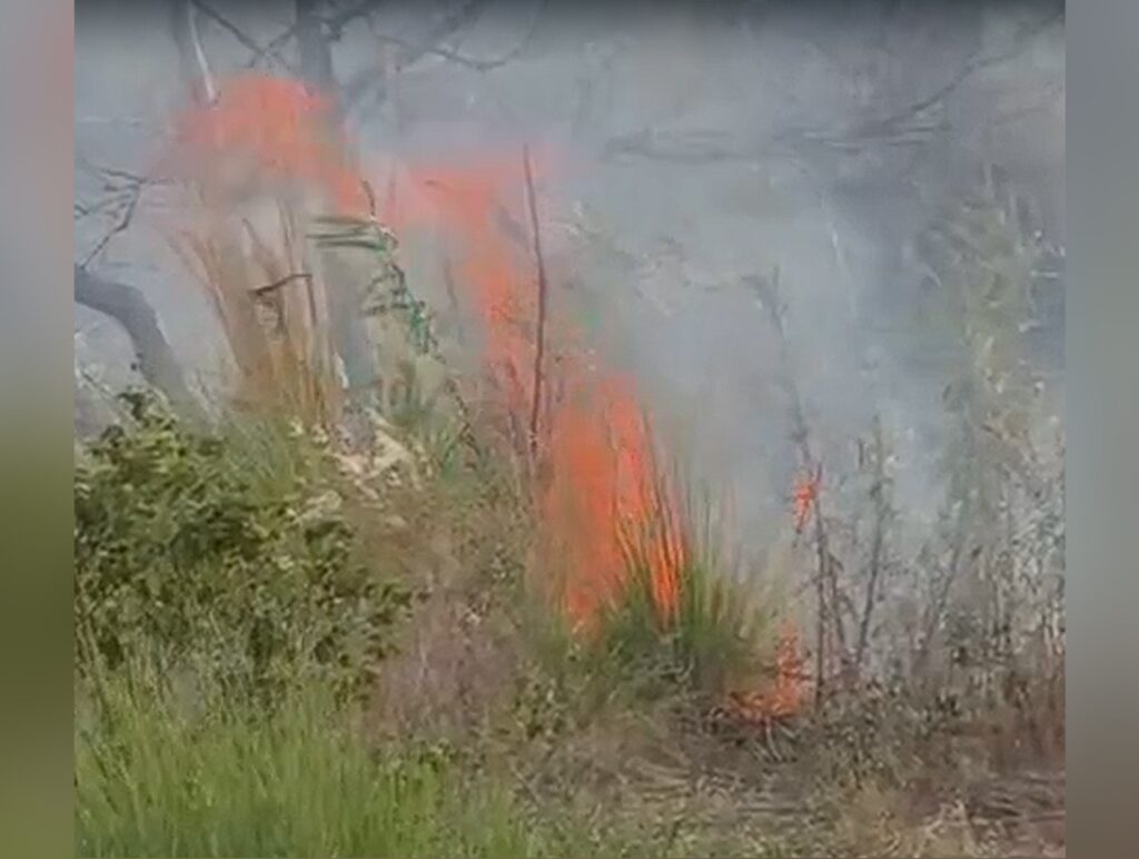 Massive Blaze Erupts in Forest Behind Gokul Welfare Society