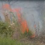 Massive Blaze Erupts in Forest Behind Gokul Welfare Society
