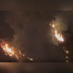 Dharamshala Forest Fire Crisis: Two Fresh Incidents Controlled After Four-Hour Effort
