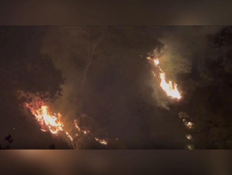 Forest fires hit 347 hectares in Dharamshala, losses estimated at Rs 92 lakh