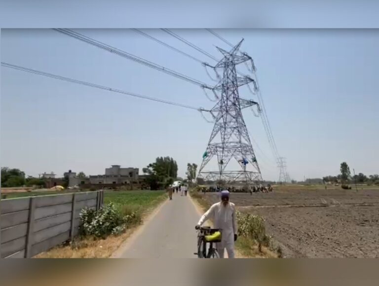 Apprentice linemen shift protest to power tower after Patiala ban on dharnas