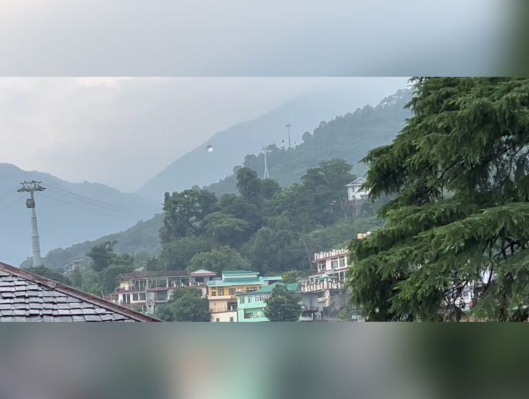 Rainfall brings relief from heat, freshness returns to Dharamshala hills