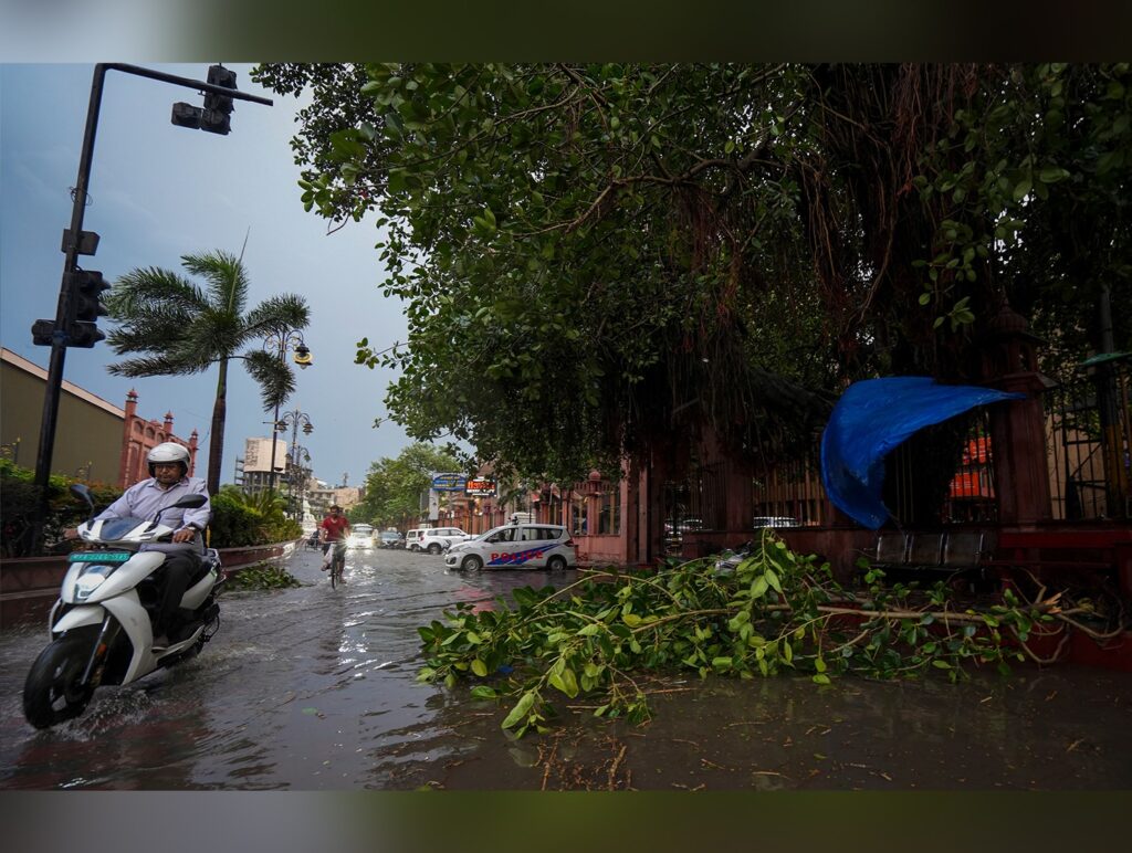 Showers Cool Punjab and Haryana After Days of Intense Heat