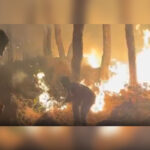 Dharamshala Forest Division Battles Spike in Fire Incidents Amid Soaring Temperatures