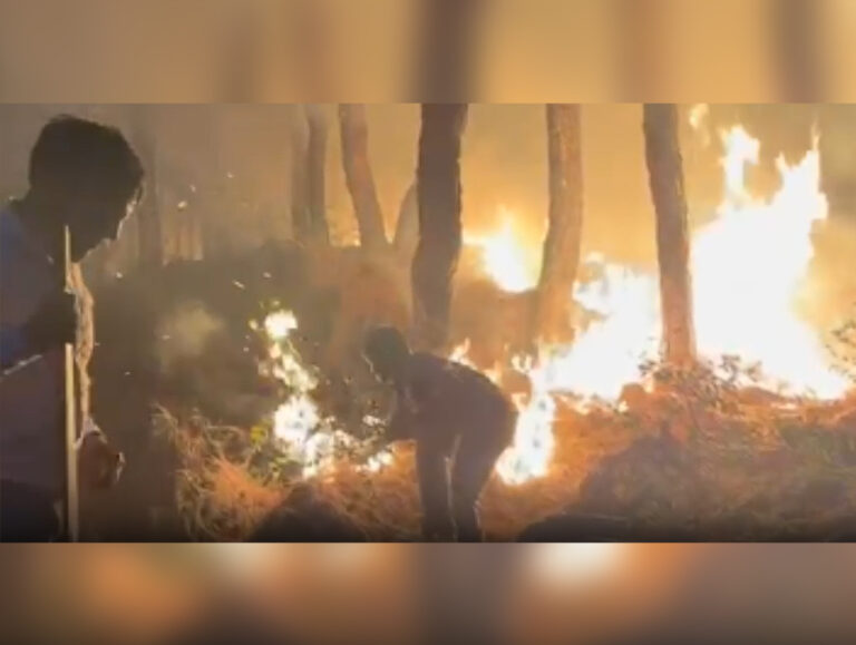 Rising temperatures spark surge in forest fires across Dharamshala